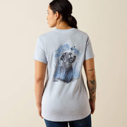 SUBDUED BLUE