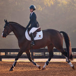Allure Show Coat - US 6421