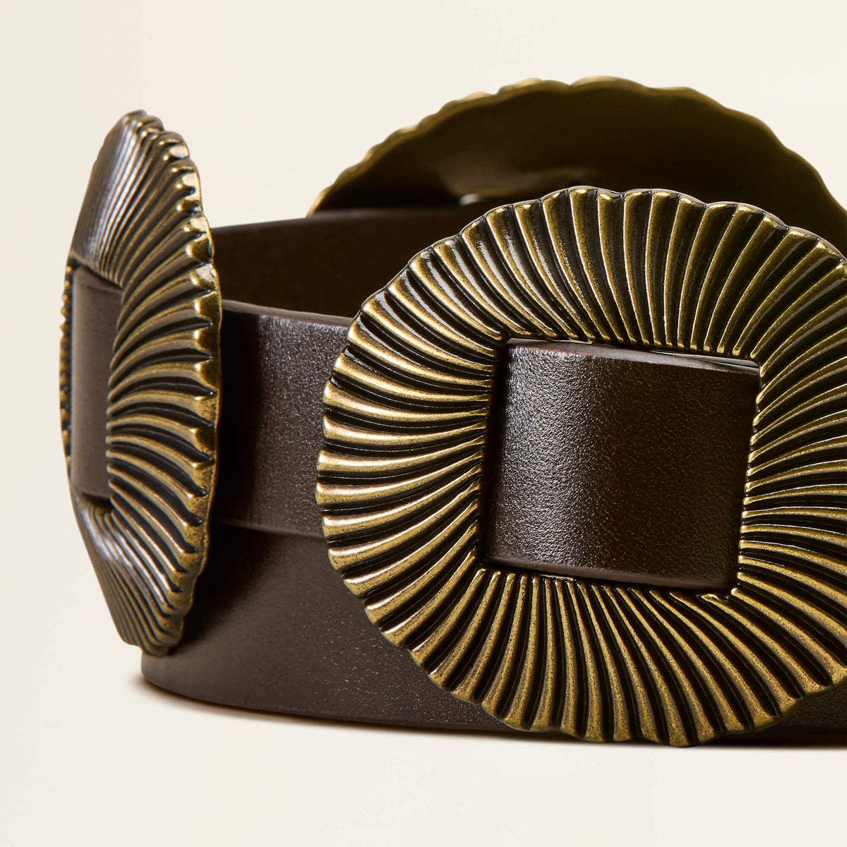Della Belt - US 5558