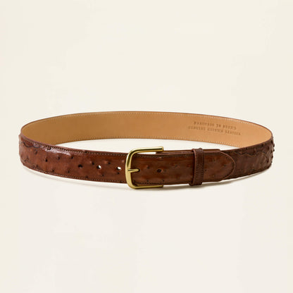 Jeffrey Belt - US 8992