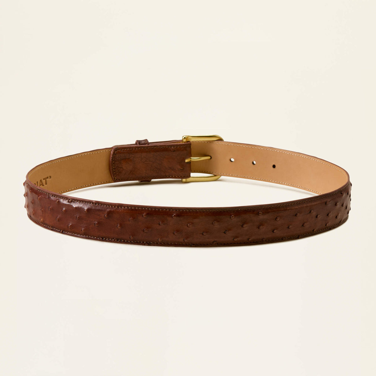 Jeffrey Belt - US 8992